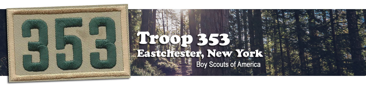 Troop 353 Eastchester, NY